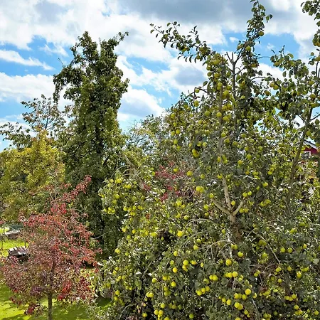 アパート Urlaubshof Scherer デッゲンハウザータール