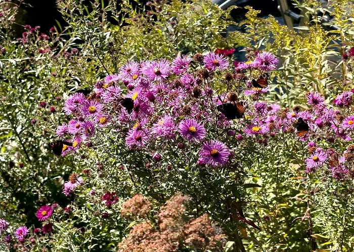 Urlaubshof Scherer Διαμέρισμα *