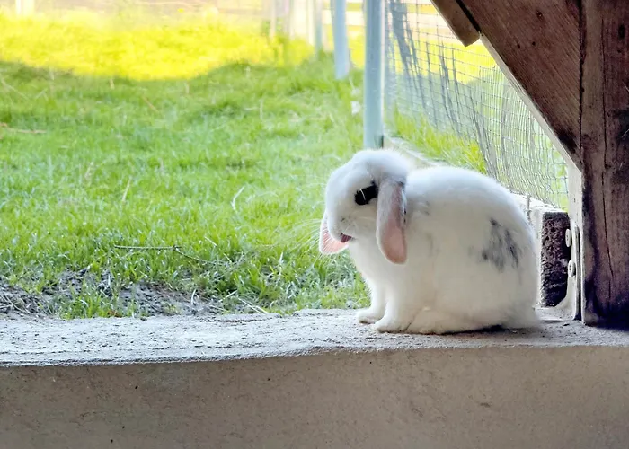 Διαμέρισμα Urlaubshof Scherer *