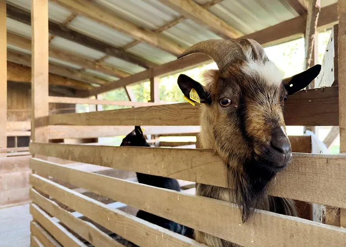 Διαμέρισμα Urlaubshof Scherer