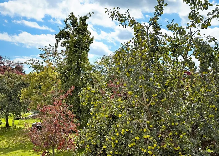 Διαμέρισμα Urlaubshof Scherer Deggenhausertal